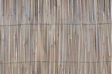 アンティーク建具　昭和初期から昭和中期　波千鳥の意匠が愛らしい夏戸2枚セット　(R-089167)