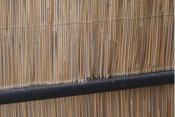 アンティーク建具　昭和初期から昭和中期　波千鳥の意匠が愛らしい夏戸2枚セット　(R-089167)