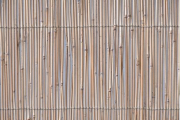アンティーク建具　昭和初期から中期　二匹の魚の意匠が涼やかな夏戸2枚セット　(R-089168)