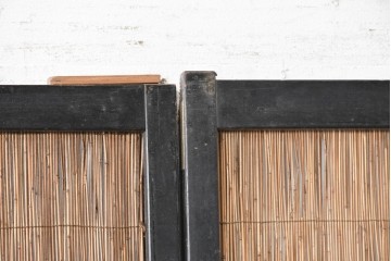 アンティーク建具　昭和初期から中期　波千鳥の意匠が粋な夏戸2枚セット　(R-089170)