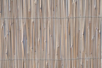アンティーク建具　昭和初期から中期　波千鳥の意匠が粋な夏戸2枚セット　(R-089170)