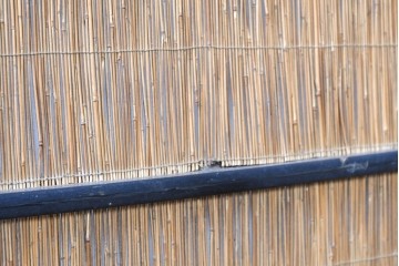 アンティーク建具　昭和初期から中期　波千鳥の意匠が粋な夏戸2枚セット　(R-089170)