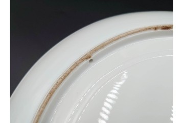 オールドノリタケ(NORITAKE)　ヤジロベー印　モールド　緻密に描かれたフレンチブルドッグの飾皿　(R-089209)