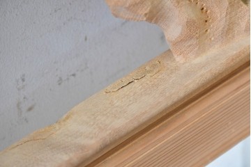 ヴィンテージ建具　昭和後期　井波彫刻　名工 横山一夢作　梅に雀が遊ぶ欄間2枚セット　(R-089242)