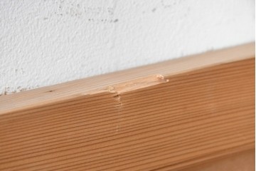 ヴィンテージ建具　昭和後期　井波彫刻　名工 横山一夢作　梅に雀が遊ぶ欄間2枚セット　(R-089242)