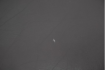 フランスアンティーク　本革　クラシカルな彫刻意匠が優美な1人掛けソファ　(R-089477)