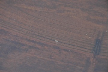 アメリカヴィンテージ　アンティーク調　落ち着いた佇まいのローチェスト　(R-089481)