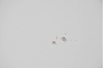 ヨーロッパヴィンテージ　フレンチスタイル　上品な佇まいのペイントキャビネット　(R-089521)