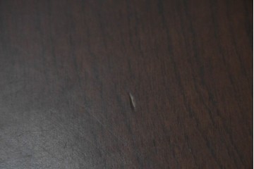 中古　国会議事堂納品の高級家具メーカー　徳田家具　彫刻意匠が上品なライティングビューロー　(R-089524)