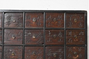 アジアンアンティーク　1930年から1940年頃　希少!!　李朝デザイン　漢字の彫り文字が印象的な49杯の薬箪笥　(R-089531)