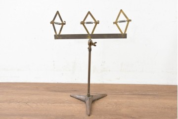イギリスアンティーク　パンプスを並べて飾れる靴用ディスプレイスタンド　(R-089566)