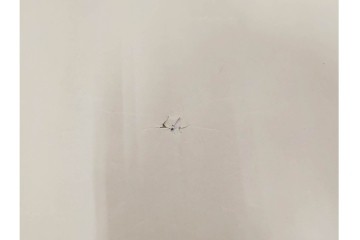旧代々木練兵場(現ワシントンハイツ)　「日本政府及連合軍総司令部最高司令官」の記載あり　軍用地の青写真(図面)2枚セット　(R-089663)