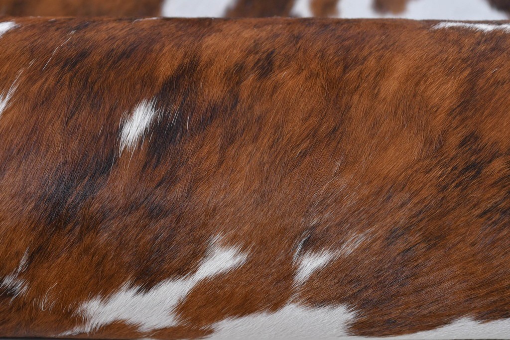 中古　美品　Poltrona Frau(ポルトローナ・フラウ)　Gio Ponti(ジオ・ポンティ)　カウスキン　Dezza(デッザ)　洗練されたデザインのアームチェア　現行定価約180万円(R-089750)