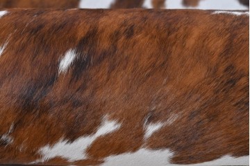 中古　美品　Poltrona Frau(ポルトローナ・フラウ)　Gio Ponti(ジオ・ポンティ)　カウスキン　Dezza(デッザ)　洗練されたデザインのアームチェア　現行定価約180万円(R-089750)