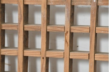 中国アンティーク建具　1900年頃　李朝風建具　均整の取れた格子意匠が魅力の窓2枚(1対)セット　(R-089937)