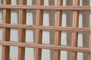 中国アンティーク建具　1900年頃　李朝風建具　格子意匠と花形金具が魅力の窓2枚(1対)セット　(R-089945)