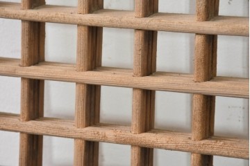 中国アンティーク建具　1900年頃　端正な格子組みが趣深い両開き戸2枚(1対)セット　(R-089949)