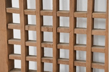 中国アンティーク建具　1900年頃　端正な格子組みが趣深い両開き戸2枚(1対)セット　(R-089949)
