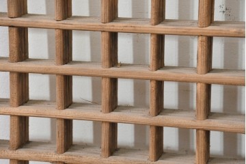 中国アンティーク建具　1900年頃　端正な格子組みが趣深い両開き戸2枚(1対)セット　(R-089950)