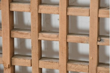 中国アンティーク建具　1900年頃　端正な格子組みが趣深い両開き戸2枚(1対)セット　(R-089950)