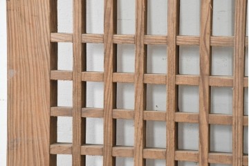 中国アンティーク建具　1900年頃　端正な格子組みが趣深い両開き戸2枚(1対)セット　(R-089951)