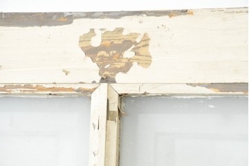フランスアンティーク建具　1900年頃　庭園を描いた美しいエッチングガラス入りドア1枚　(R-089963)