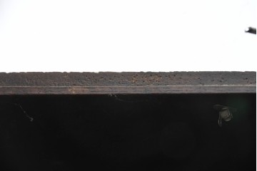 イギリスアンティーク　1930年頃　オーク材　曲線意匠が印象的な薄型ワードローブ　(R-090034)