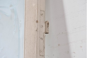 フランスアンティーク　1900年頃　特大!!　伸びやかな草花のエッチングガラスが美しい!　折れ戸と片開き戸の3枚セット　(R-090058)
