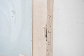 フランスアンティーク　1900年頃　特大!!　伸びやかな草花のエッチングガラスが美しい!　折れ戸と片開き戸の3枚セット　(R-090058)