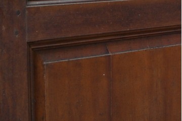 イギリスアンティーク　1920年頃　特大!!　高さ約2.7m　妖精のような女性と小鳥を描いたエッチングガラス入りドア1枚　(R-090081)