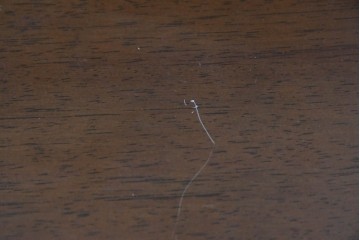 中古　maruni(マルニ木工)　地中海ロイヤルシリーズ(ROYAL)　格調高いビューローブックケース　定価約48万円　(R-090088)