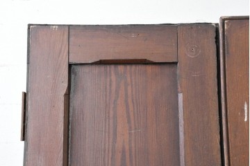 イギリスアンティーク建具　1920年頃　縦長のパネルデザインが印象的な両開きドア2枚(1対)セット　(R-090108)