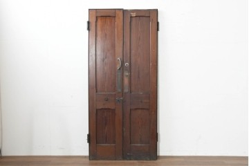 イギリスアンティーク建具　1920年頃　縦長のパネルデザインが印象的な両開きドア2枚(1対)セット　(R-090109)