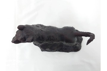 中村晋也　「西郷どんのツン」　高さ約31cm　岩上に立つ凛々しい犬を表現したブロンズ像　共箱付き　(R-090240)