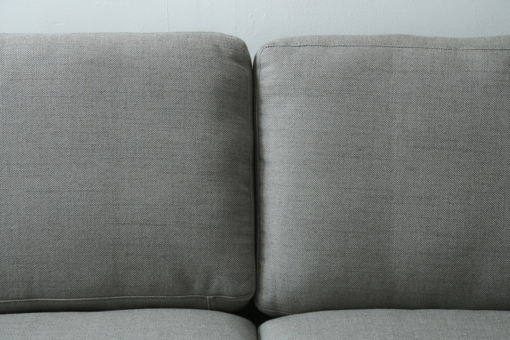 中古　美品　FRITZ HANSEN(フリッツハンセン)　ピエロ・リッソーニ(Piero Lissoni)デザイン　PL112S　洗練されたフォルムの2人掛けソファ　定価約110万円　(R-090280)