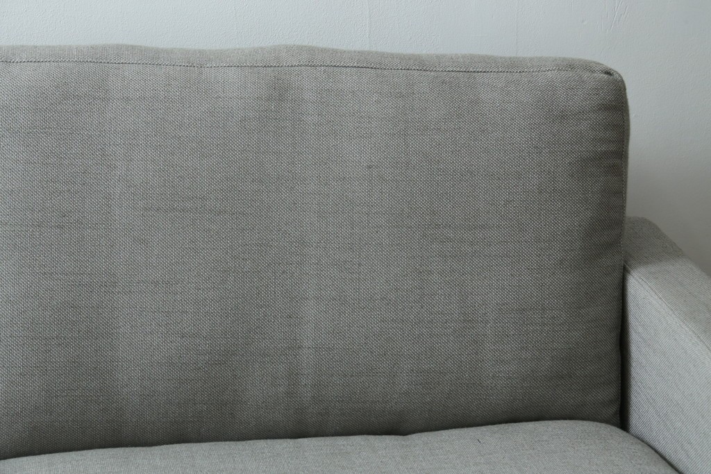 中古　美品　FRITZ HANSEN(フリッツハンセン)　ピエロ・リッソーニ(Piero Lissoni)デザイン　PL112S　洗練されたフォルムの2人掛けソファ　定価約110万円　(R-090280)