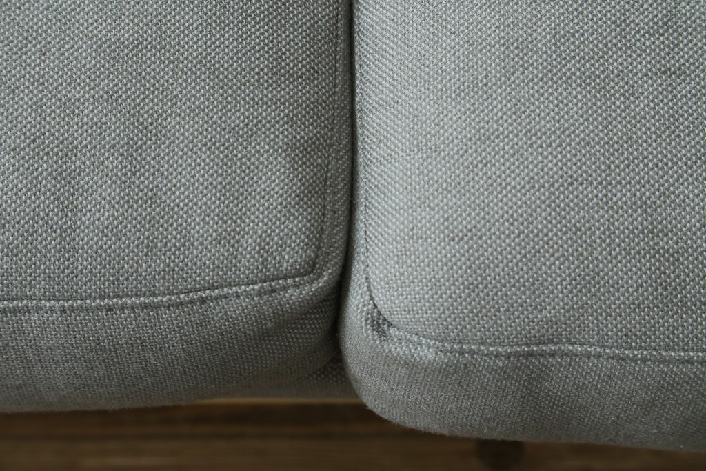 中古　美品　FRITZ HANSEN(フリッツハンセン)　ピエロ・リッソーニ(Piero Lissoni)デザイン　PL112S　洗練されたフォルムの2人掛けソファ　定価約110万円　(R-090280)