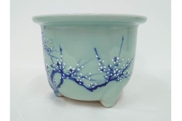 昭和初期　青磁　上品な梅図の三足植木鉢　(R-090416)