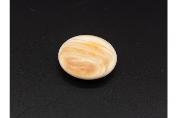 本蛤・那智黒の碁石と欅の碁笥セット　外箱付き　(R-090423)