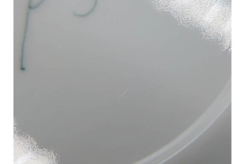 ハンガリー　HEREND(ヘレンド)　 ストロベリーコンポジション　可憐ないちご柄のカップ&ソーサー　(R-090431)