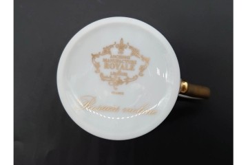 フランス　ROYALE  LIMOGES(ロワイヤル リモージュ)　Rosaces Violine　華やかなカップ&ソーサー　(R-090436)