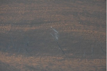 イギリスアンティーク　1920年頃　マホガニー材　彫刻装飾とミラーを備えたクラシカルなキャビネット　(R-090531)