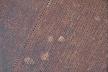 イギリスアンティーク　1900年頃　オーク材　ライオン(獅子)をかたどった彫刻脚がユニークなホールチェア2脚セット　(R-090555)