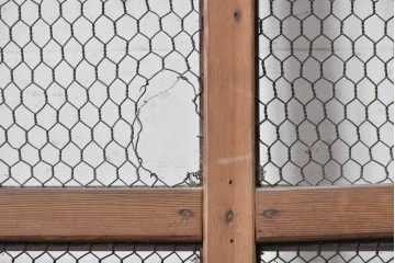 アンティーク建具　明治から大正期　素朴で味わい深い金網入りきつね格子蔵戸1枚　(R-090561)