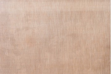 和製アンティーク　昭和初期　上手物!!　大正ロマン　草花と尾長鳥を描いた片面ふすまの幅広板戸2枚セット　(R-090564)