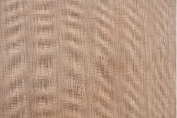 和製アンティーク　昭和初期　上手物!!　大正ロマン　草花と尾長鳥を描いた片面ふすまの幅広板戸2枚セット　(R-090564)