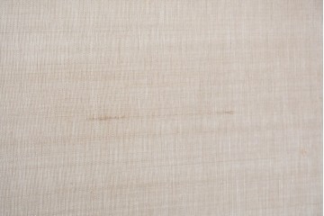 和製アンティーク　昭和初期　上手物!!　大正ロマン　草花と尾長鳥を描いた片面ふすまの幅広板戸2枚セット　(R-090565)