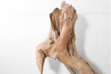 アジアンヴィンテージ　バリ　チーク材　特大!　自然が生み出した造形美を楽しむ流木オブジェ　(R-090630)