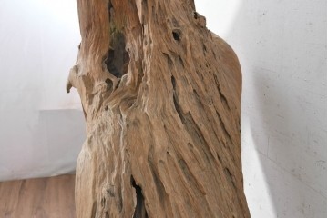 アジアンヴィンテージ　バリ　チーク材　特大!　自然が生み出した造形美を楽しむ流木オブジェ　(R-090630)