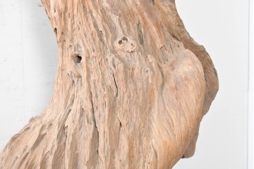 アジアンヴィンテージ　バリ　チーク材　特大!　自然が生み出した造形美を楽しむ流木オブジェ　(R-090630)